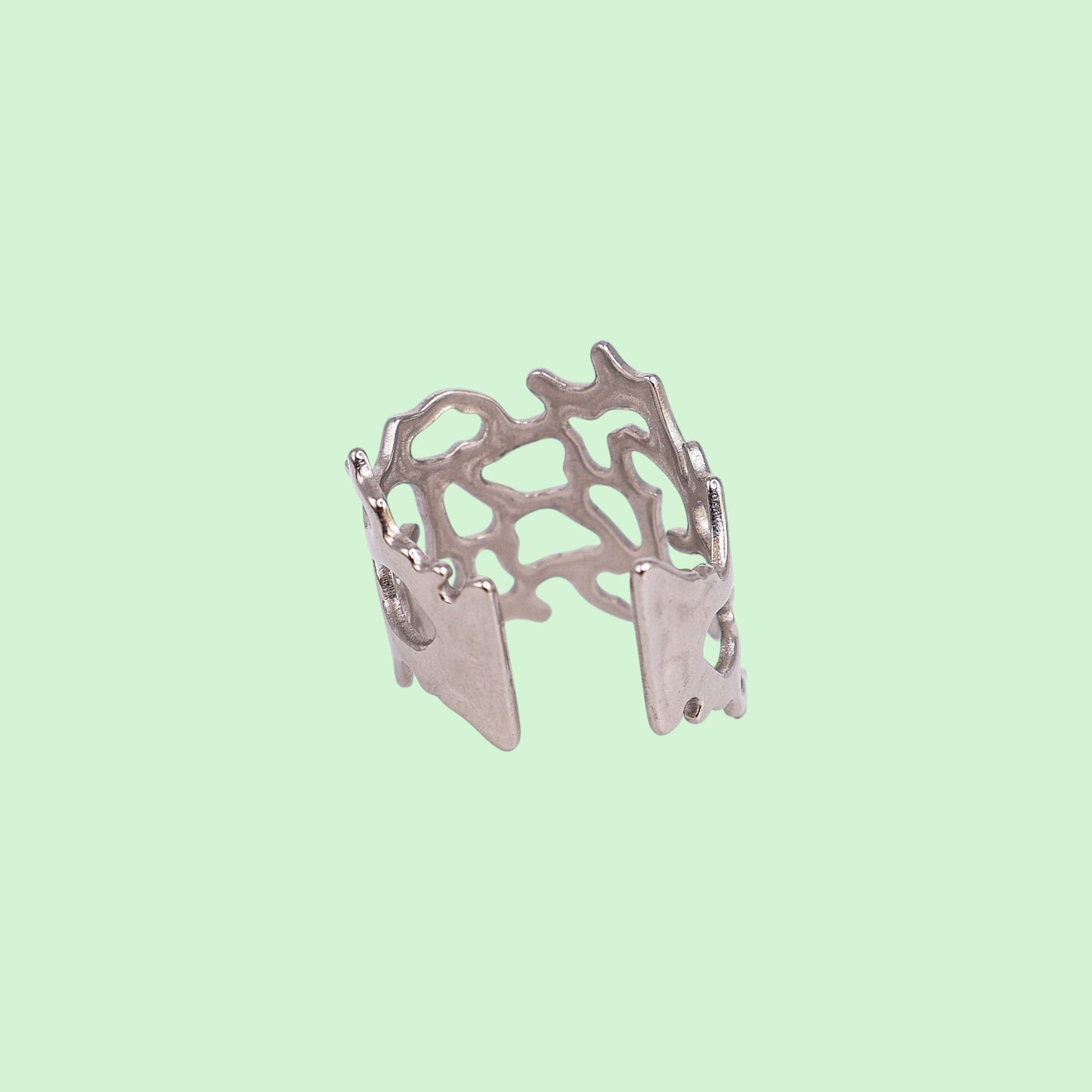 Silver ring on a light green background