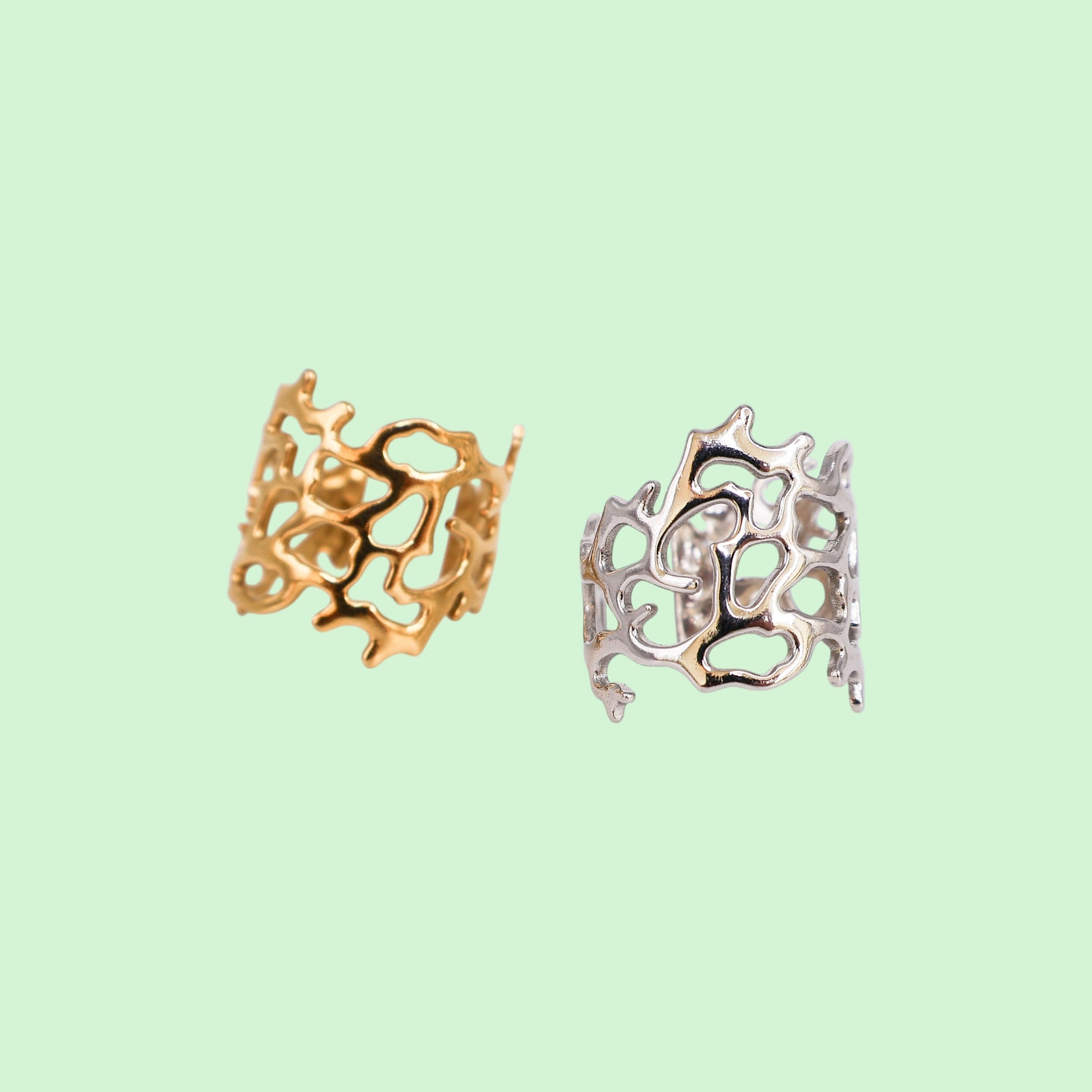 Two ornate rings, one gold and one silver, on a light green background